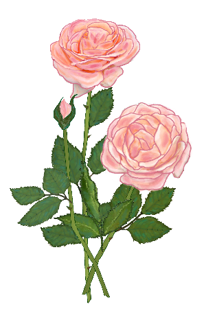 薔薇 バラ 赤 ピンク 黄色 青 秋のイラスト素材 無料テンプレート