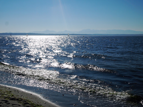 olympic mountains