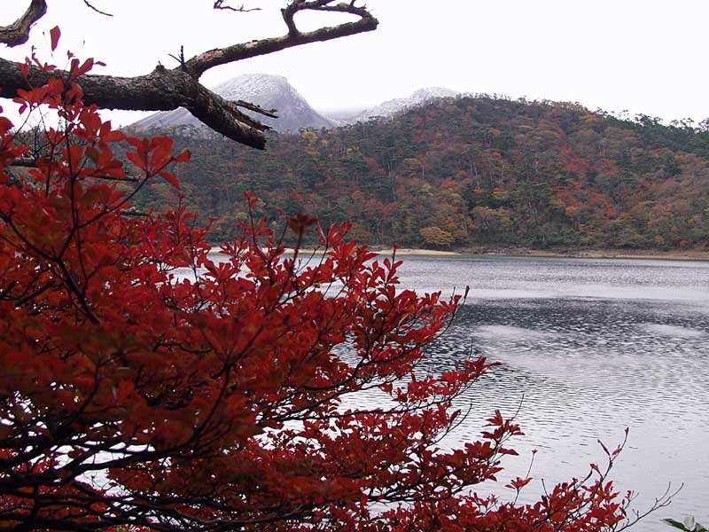 紅葉 えびの高原