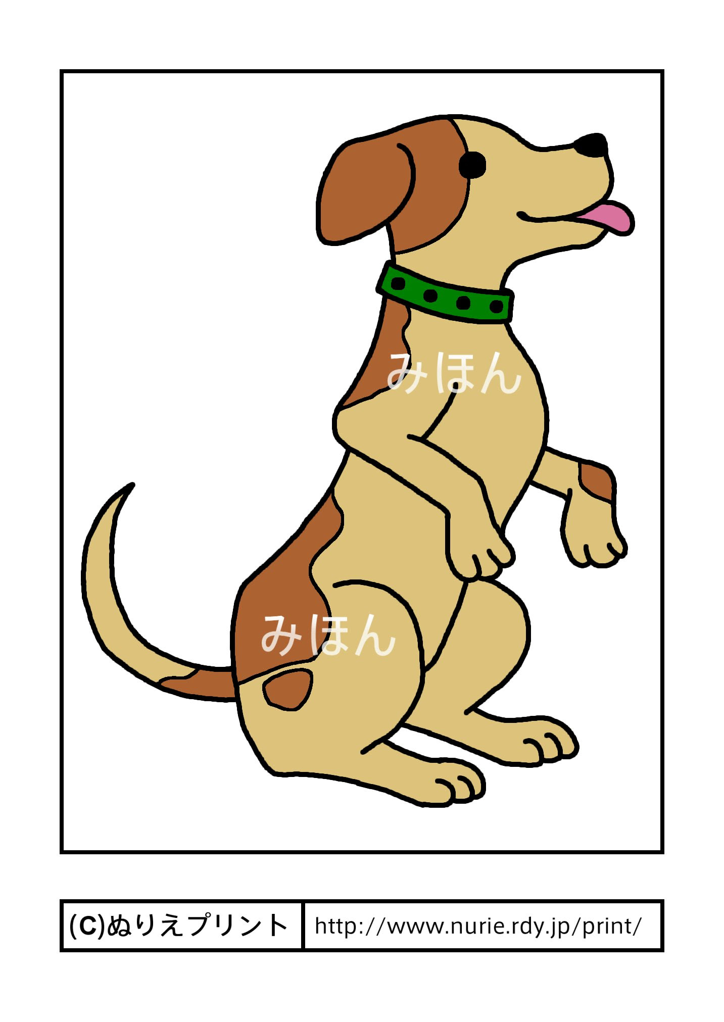 犬1 彩色見本 動物 大人の塗り絵 ぬりえプリント