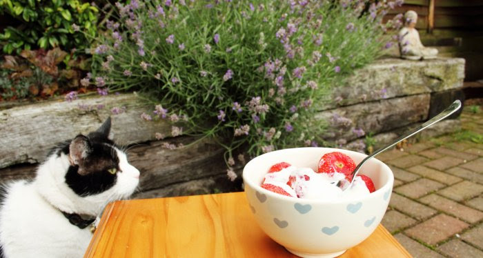 Charlie and the strawberries