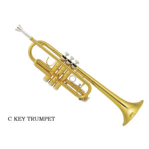 Online Music Theory Online Musical Instrument Ranges amp Names