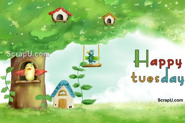 Happy Tuesday Pictures 