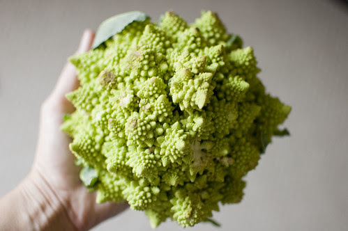 mystery veggie