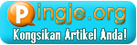 ping blog