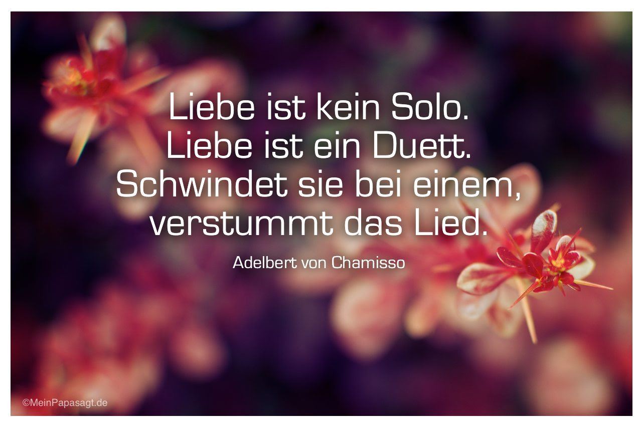 liebe ist kein solo mein papa sagt weisheiten zitate