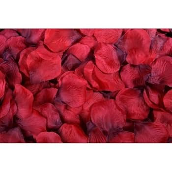Flomans - 400 pétales de rose rouge pétales de fleurs éparpillés mariage décoration Carnaval