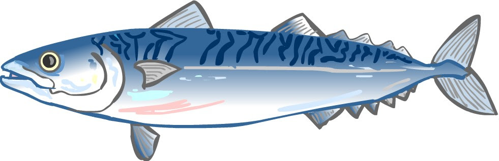 魚 イラスト 無料 ｇｉｆ画像