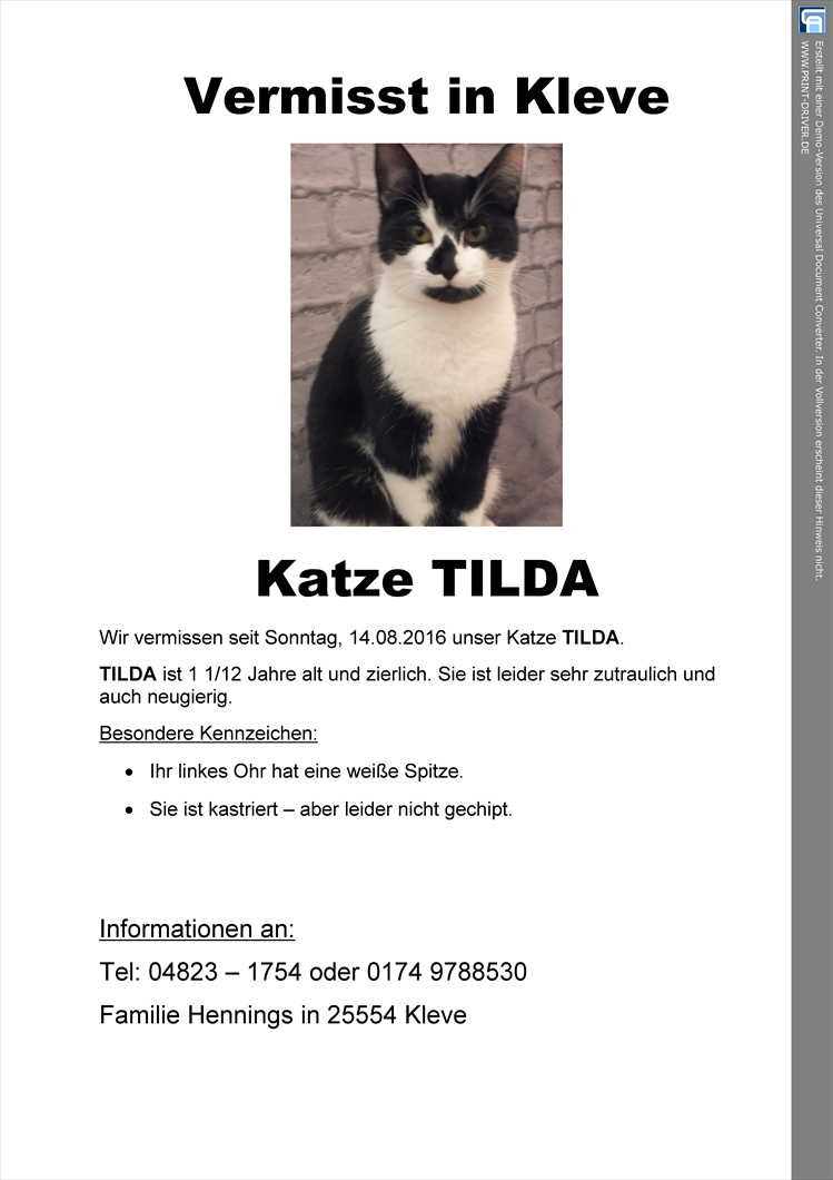 Tierheim Itzehoe :: Tierschutzverein Itzehoe & Kreis ...