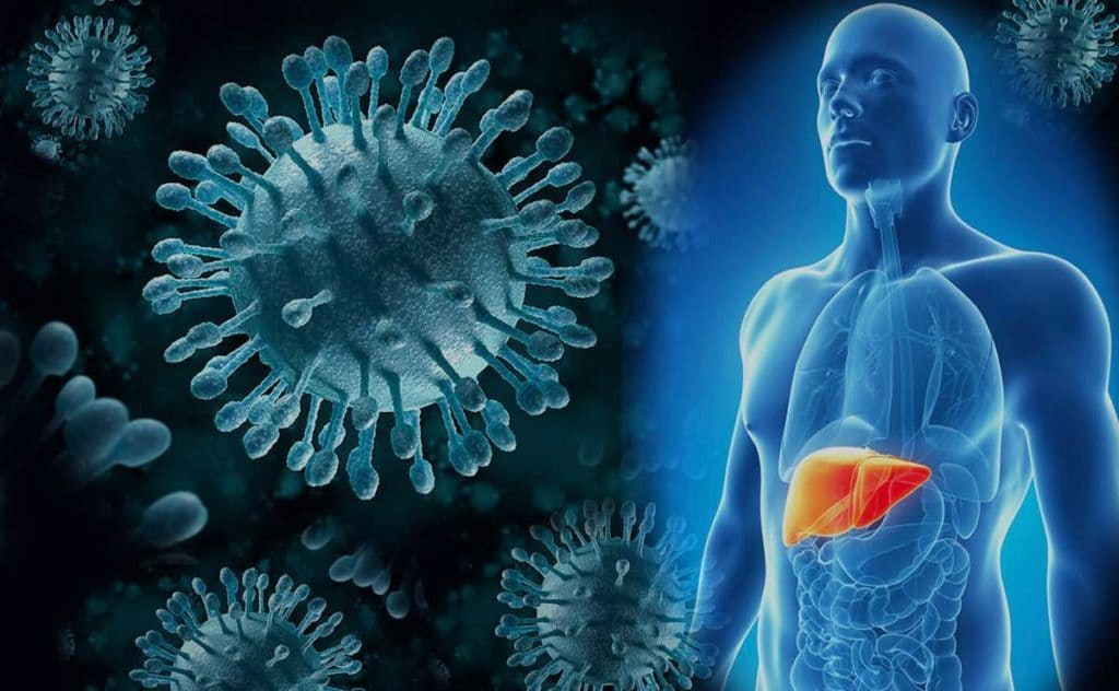 Logran por primera vez eliminar el virus de la hepatitis B ...
