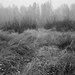 www.wanderinginfairbanks.com