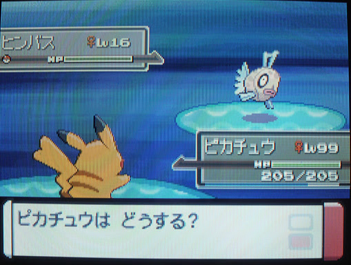 ゲーマー主婦はどこへ行く ヒンバスやっと釣れたーーーーーー T T