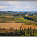 (603)  Colline del Chianti ...