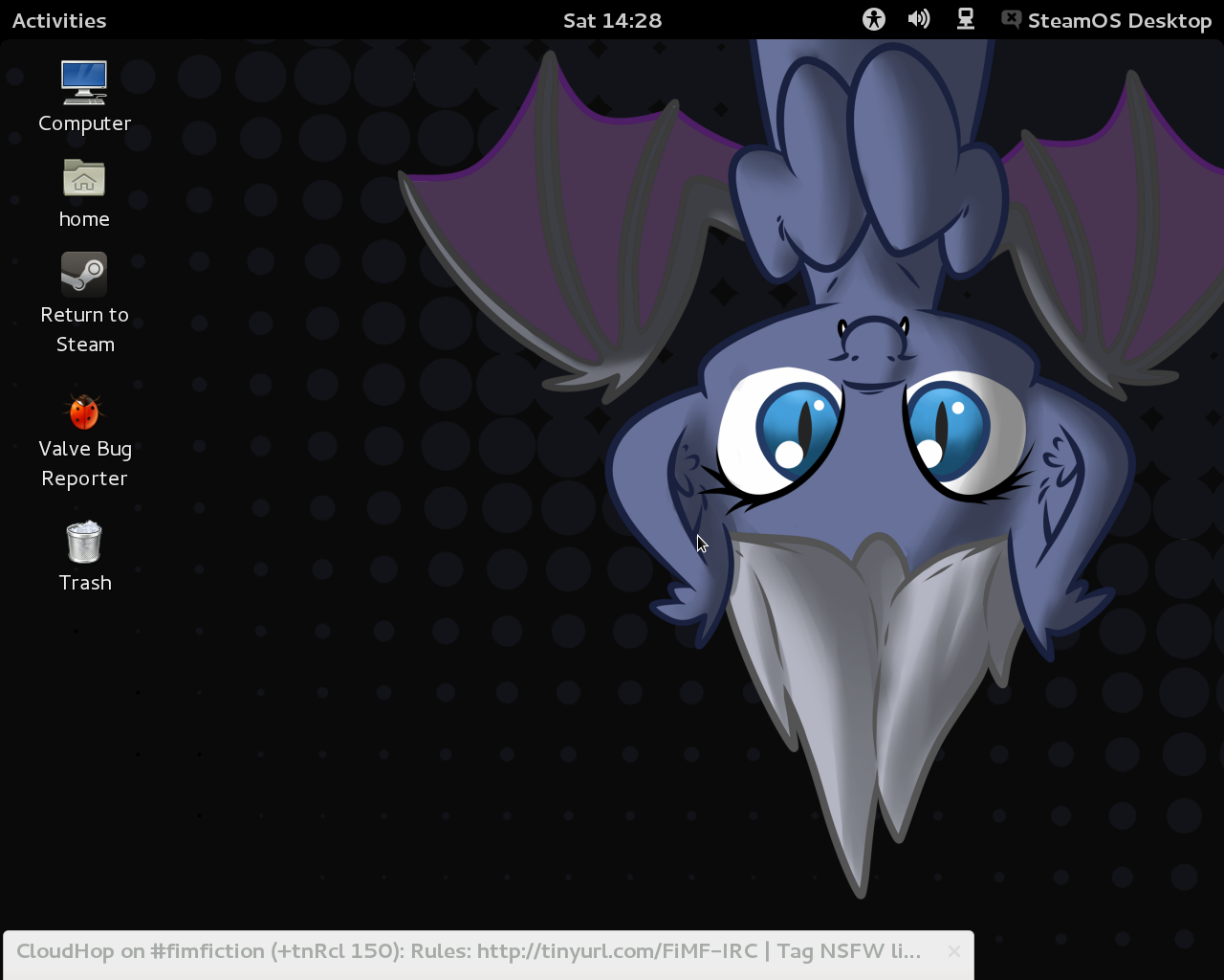 SteamOS