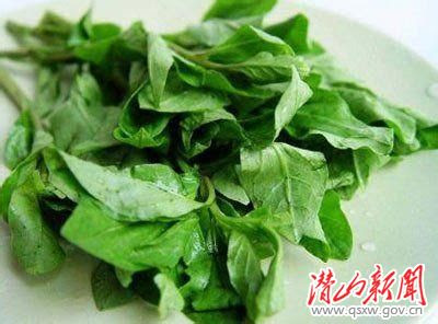 饮食警惕 4类隔夜菜堪比毒药 桐城网