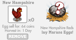 New Hampshire Red Lays Marans Eggs