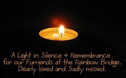 Remembering Lost Friends
