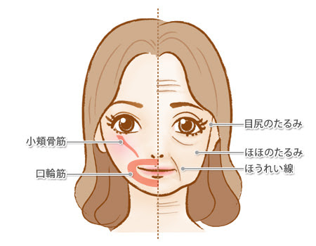 表情筋を鍛えるのは本当にいいのか めぐり鍼灸治療院スタッフブログ