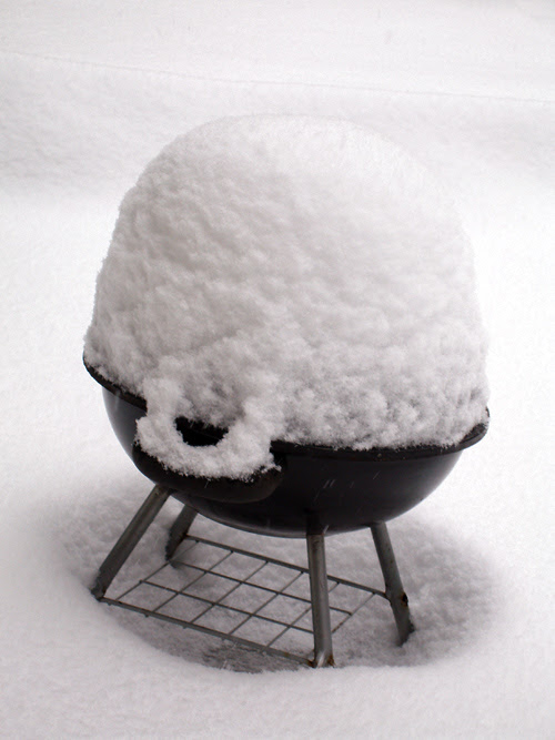 snow on the grill
