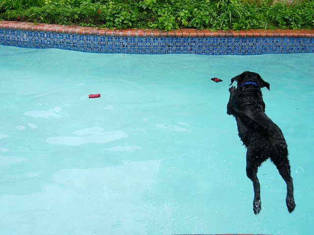 grace flying