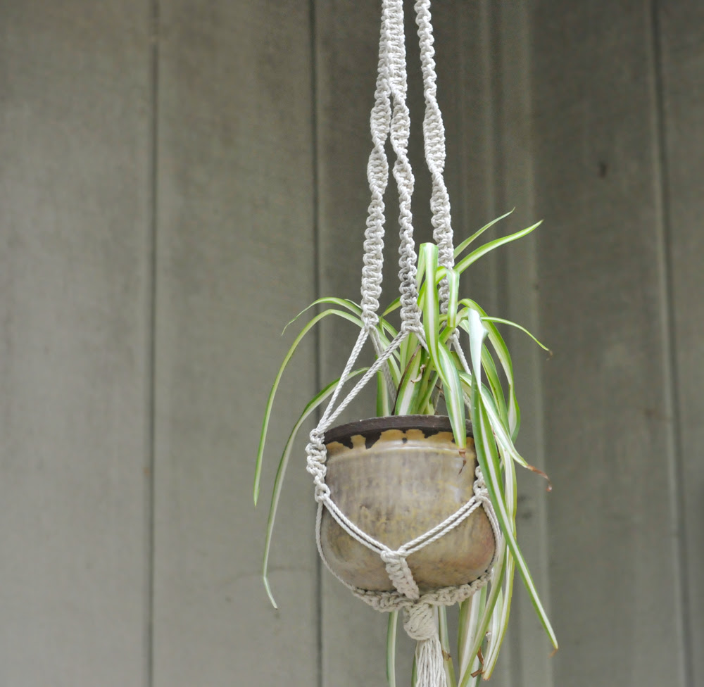 DIY Macrame Plant Hangers
