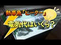 グッピー ヒーター 電気代 899878-グッピー ヒーター 電気代