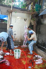 The Two Main Chapters of Islam Written in Blood Bakra Eid and Moharam by firoze shakir photographerno1