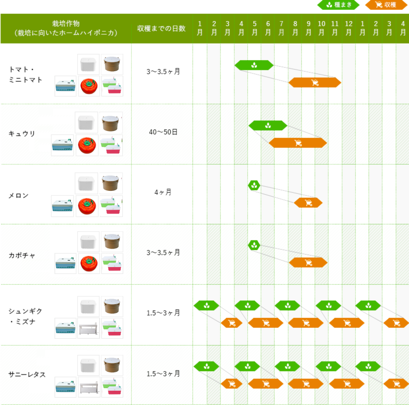発芽 栽培のポイント ホームハイポニカeショップ