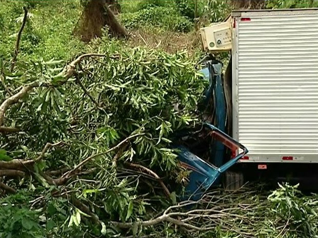 Caminhão arrancou pé de manga que estava na beira da estrada (Foto: Reprodução/ TV Gazeta)