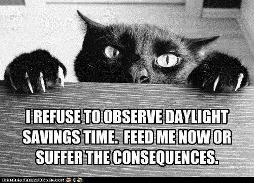 Funny Daylight Savings Time Memes