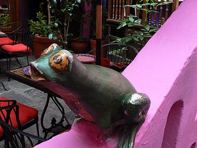 grenouille.jpg
