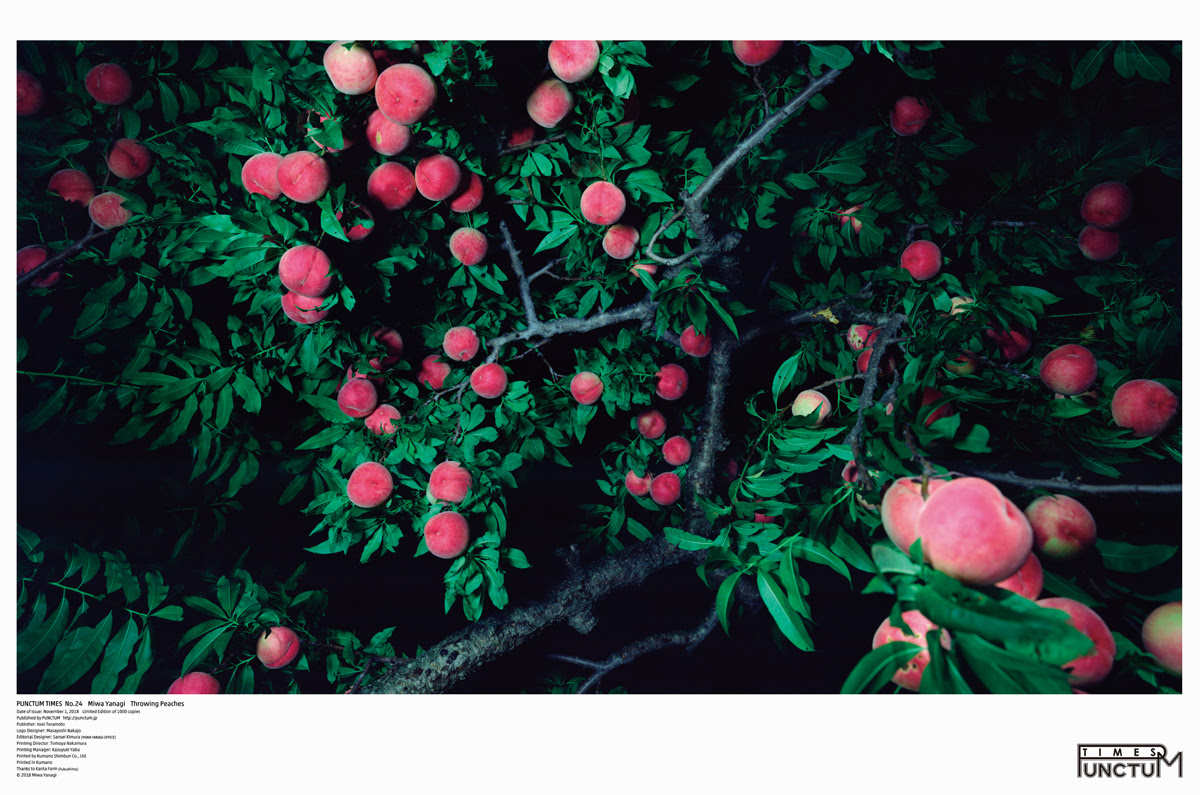 Punctum Times No 24 Punctum Times