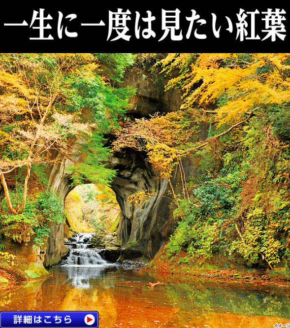 ゆったりめぐる養老渓谷紅葉狩りと濃溝の滝 東京ドイツ村イルミネーション 日帰り6 990円 さいたま新都心発 新聞掲載された国内超お得旅行情報