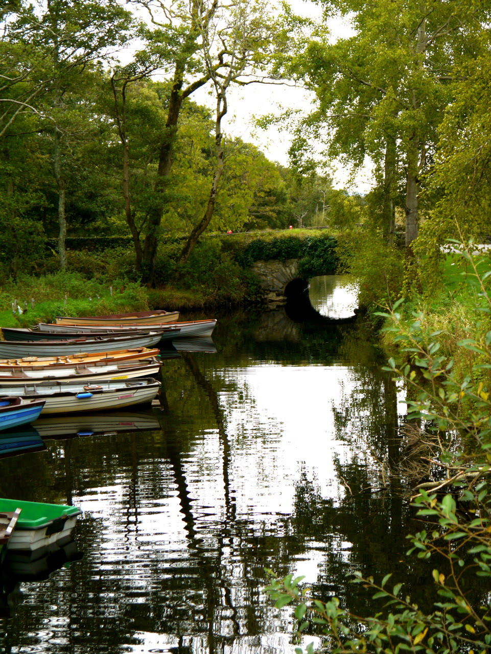 averyjohnson-photo: Killarney National Park, Ireland
