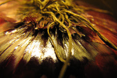 Red Onion