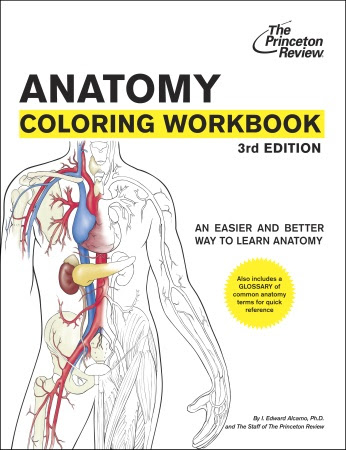 The Princeton Review Bookstore Anatomy Coloring Coloring Wallpapers Download Free Images Wallpaper [coloring654.blogspot.com]