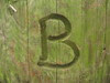 B