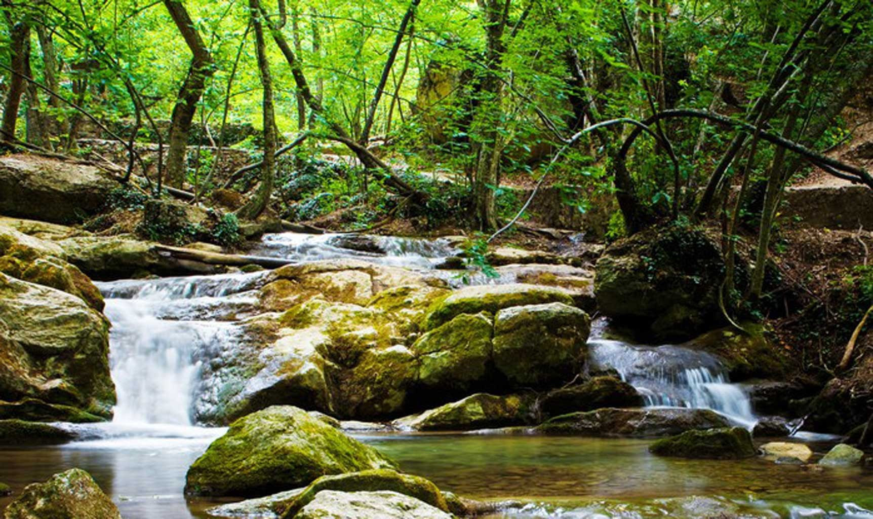 Poem About Enjoying Nature  Nature s  Way