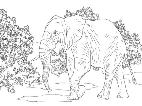 Afrikaanse Bos Olifant Loopt Kleurplaat Gratis Kleurplaten Printen