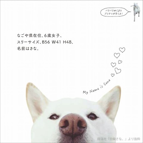 犬 の 名前 メス 珍しい