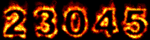 Web Counter