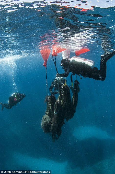 A discarded fishing net is lifted to the surface