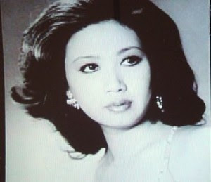 瀬川瑛子の旦那は誰 病気で韓国人という噂がある カップがやばい 芸能人 有名人のあれやこれや