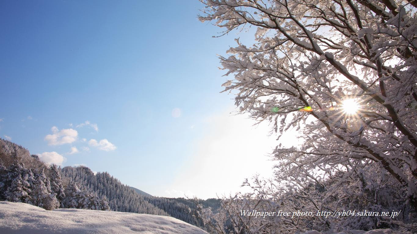 霧島の雪景色 高画質 1366 768 デスクトップ無料壁紙