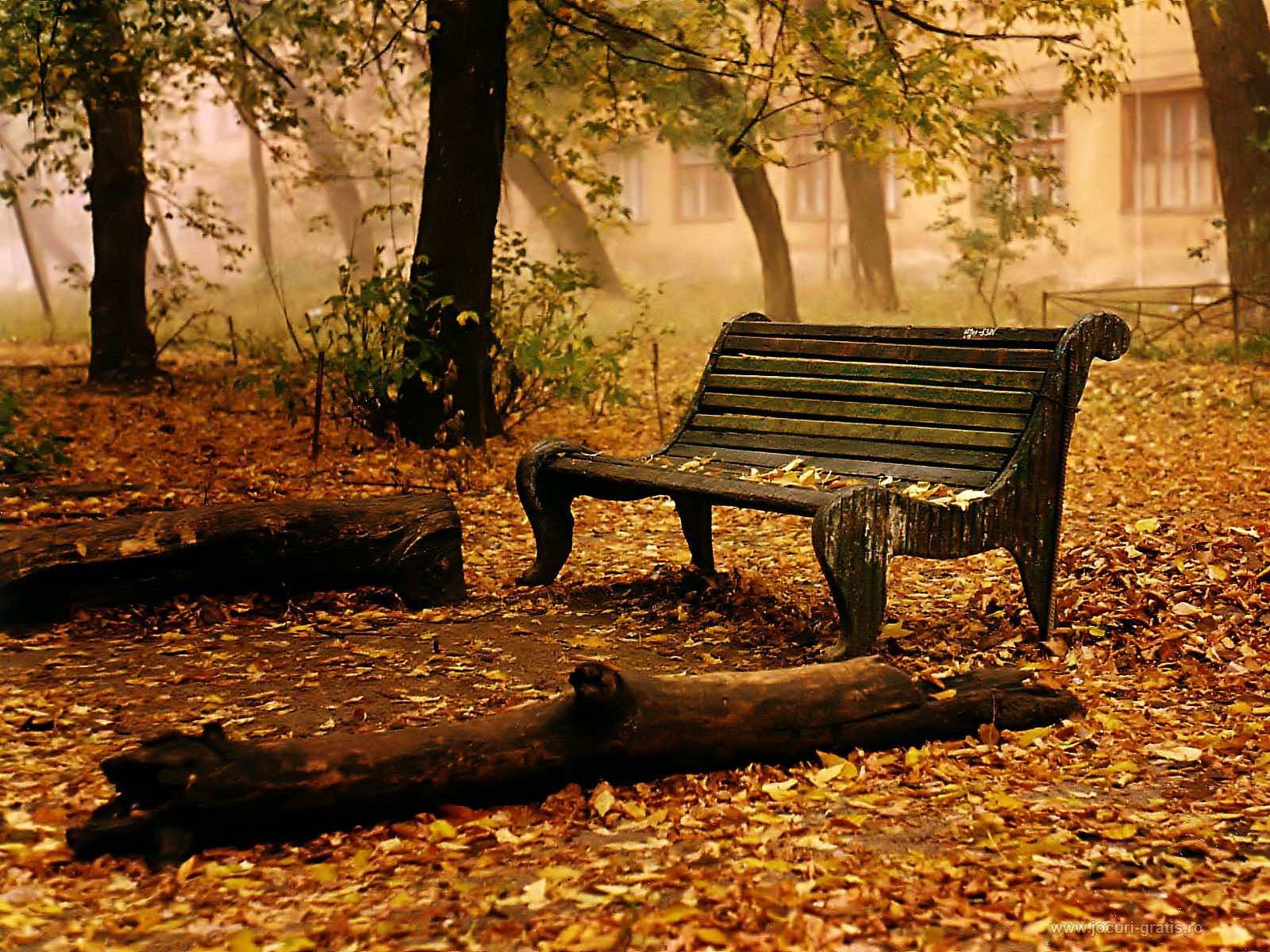 Fall Wallpaper