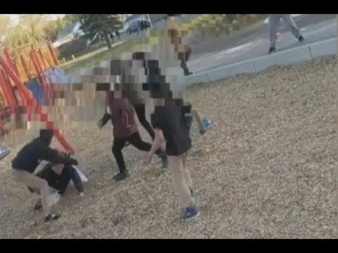 Children filmed attacking woman at park in Saskatchewan