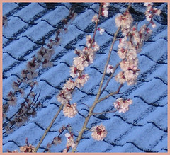 10 detail on roof