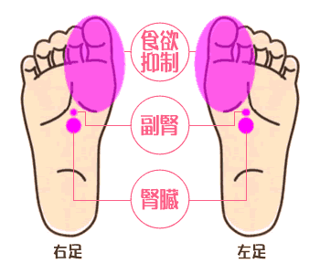 体脂肪を減らす足つぼ 足ツボ