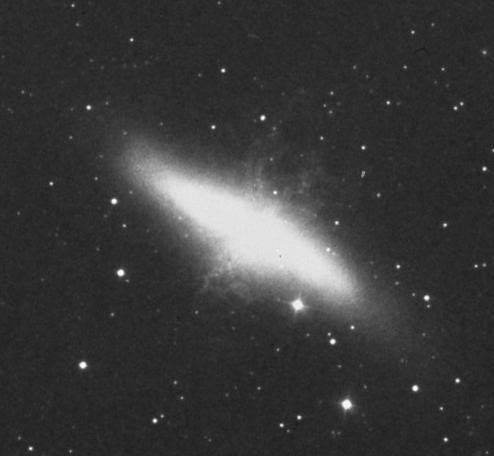 M82