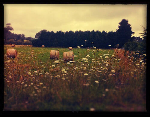 iPhone Photography iPhone Photography